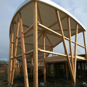 Tensed structure with wooden bars